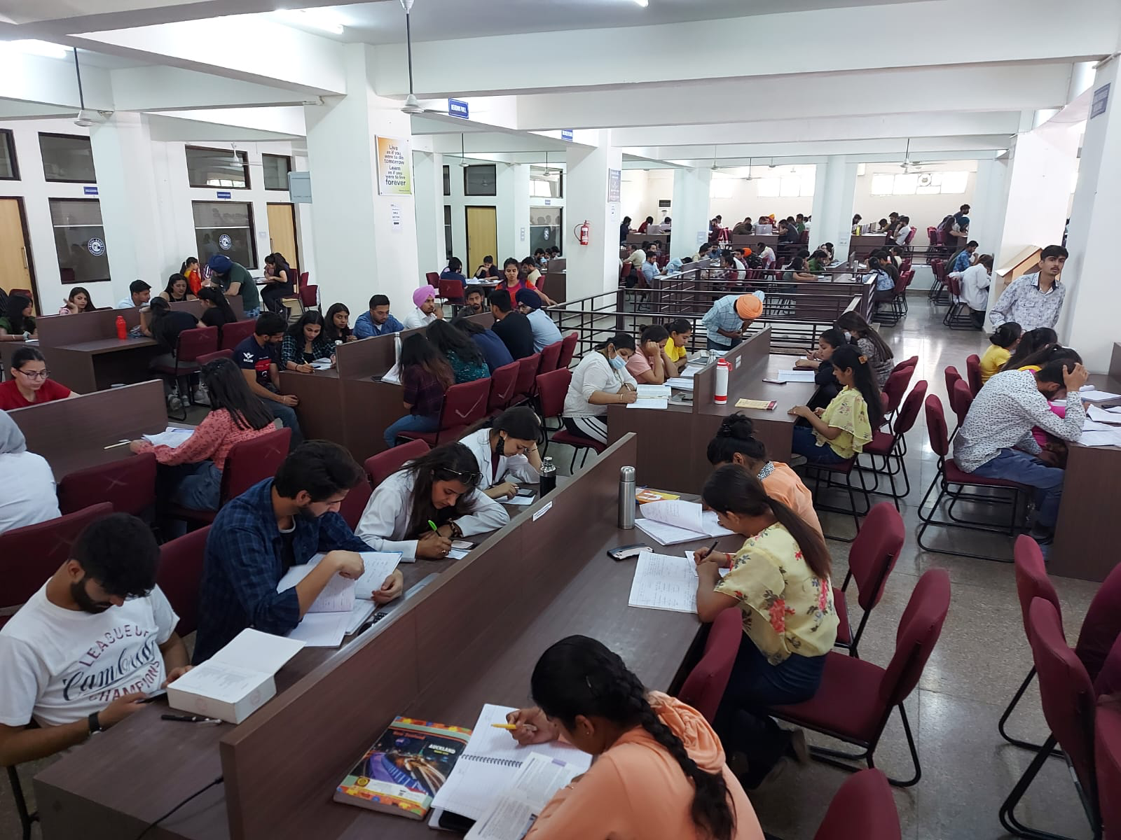 Students studying in the university library